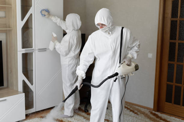 Mold Removal Process in Dundas, MN